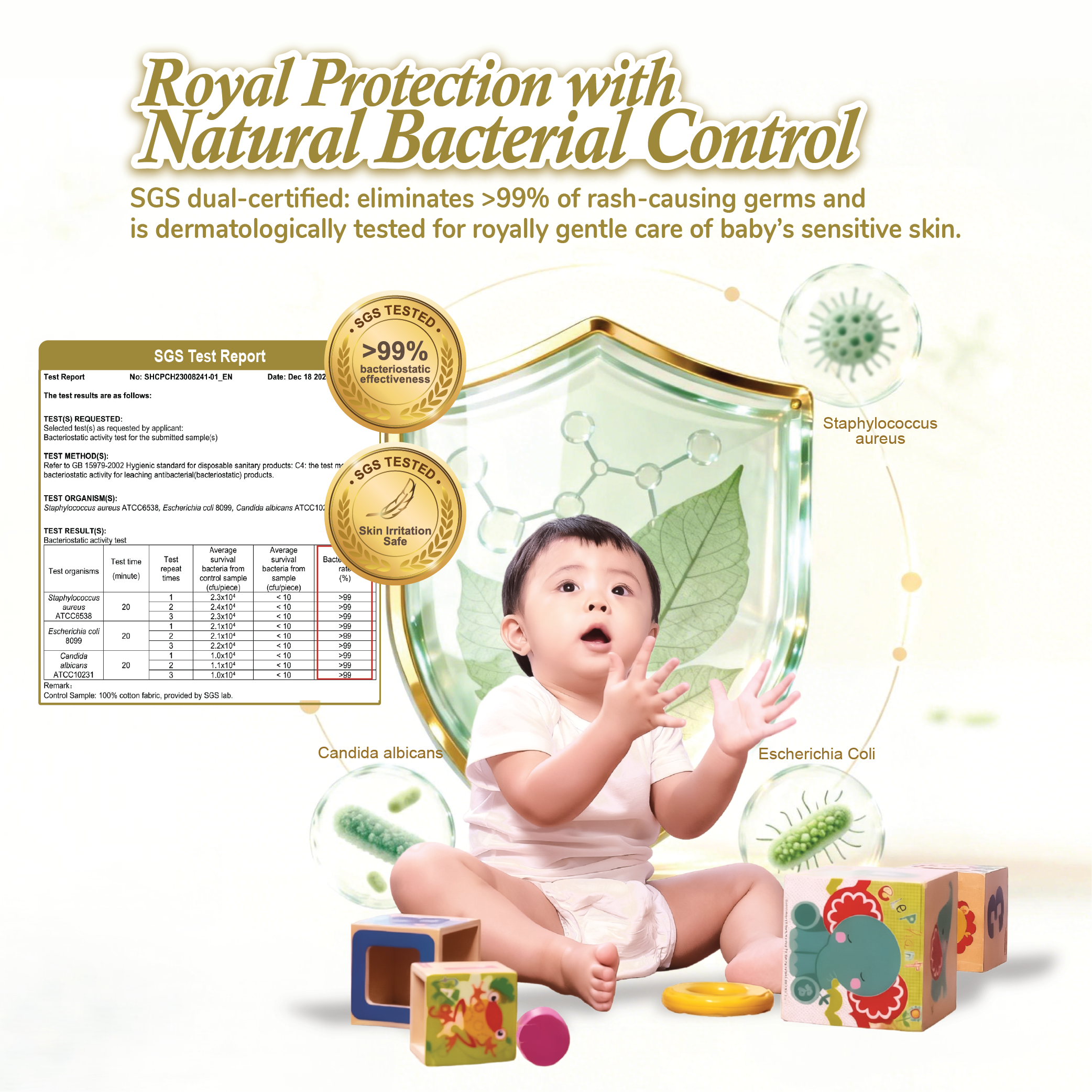drBébee™ Royal Fit Pants Diapers Single Pack